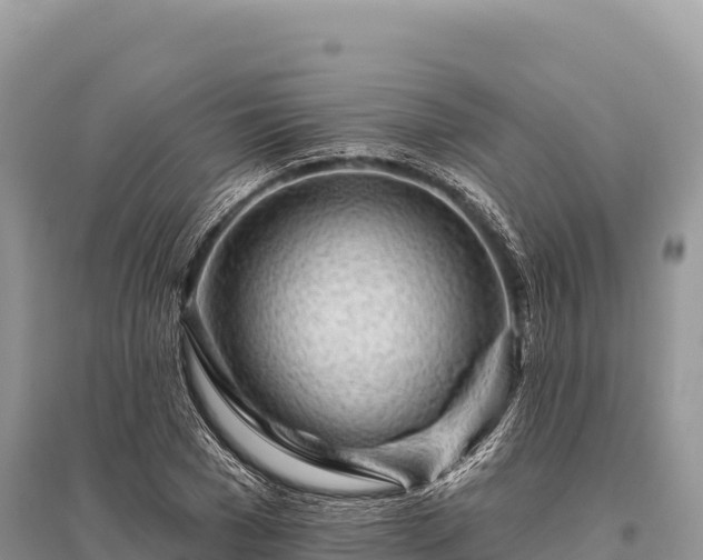 X0000096170977200801251147