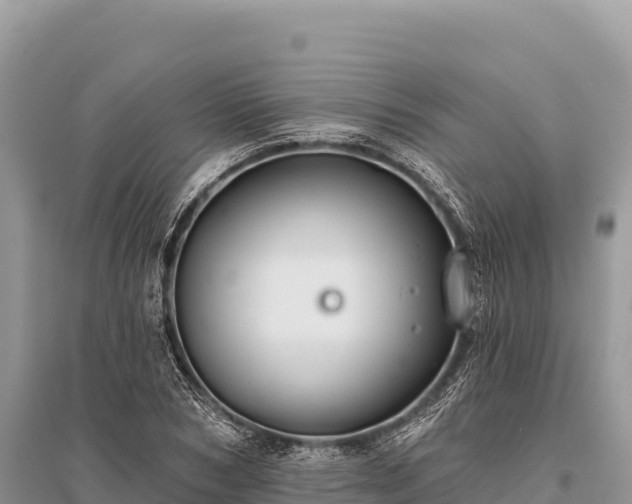 X0000096170978200801251147