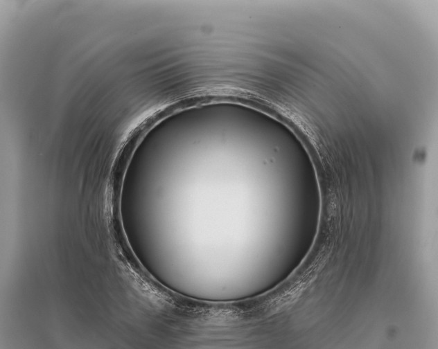 X0000096170979200801251147