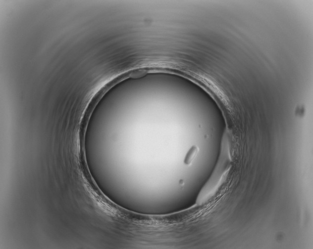 X0000096170980200801251147