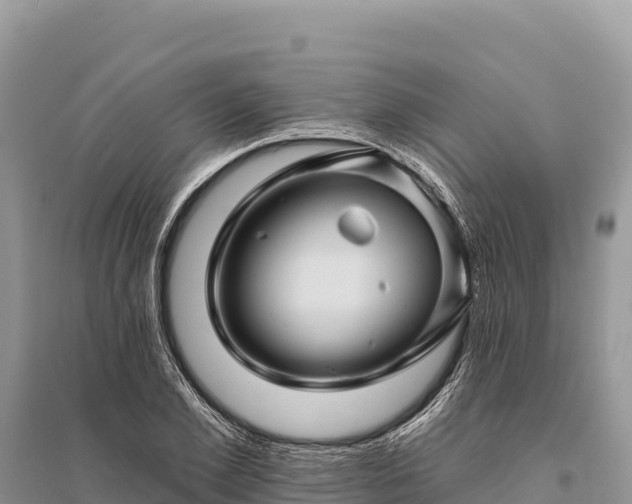 X0000096170981200801251147