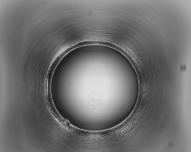 X0000096170982200801251147