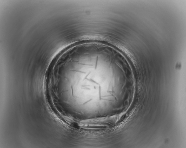 X0000096170983200801251147