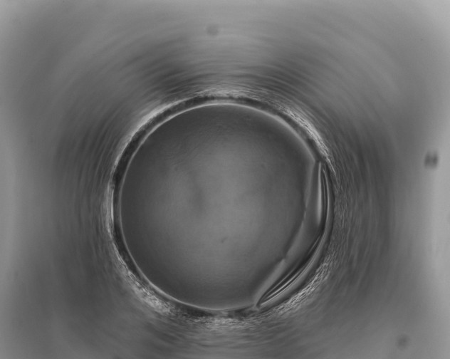 X0000096170984200801251146