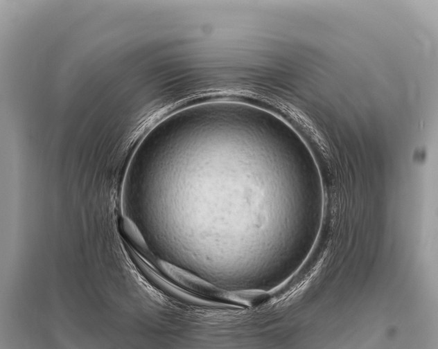 X0000096170985200801251146