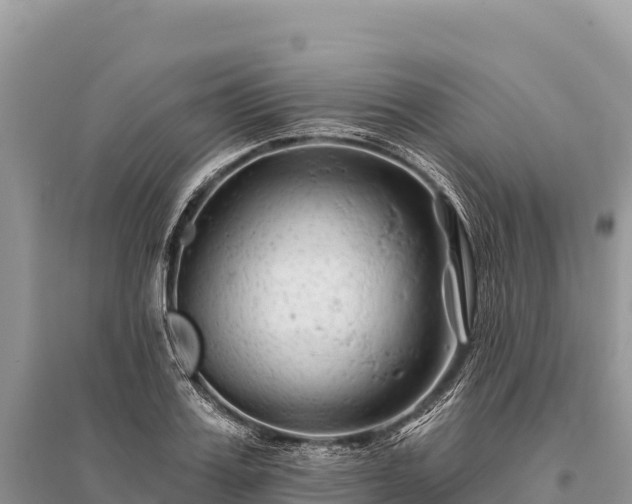 X0000096170987200801251146