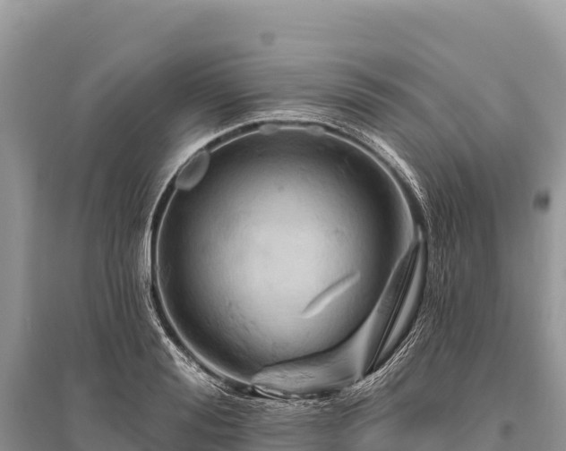 X0000096170988200801251146