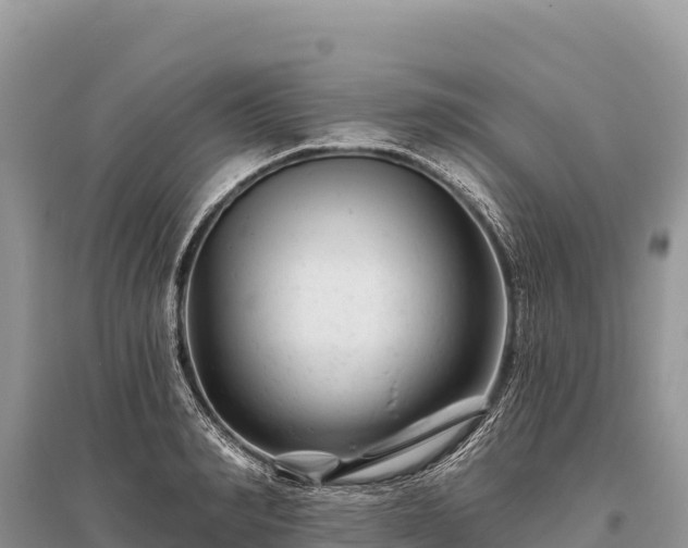 X0000096170990200801251146