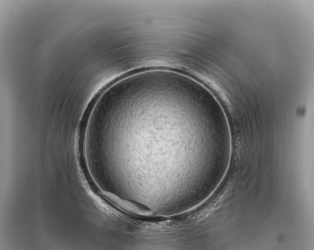 X0000096170991200801251146