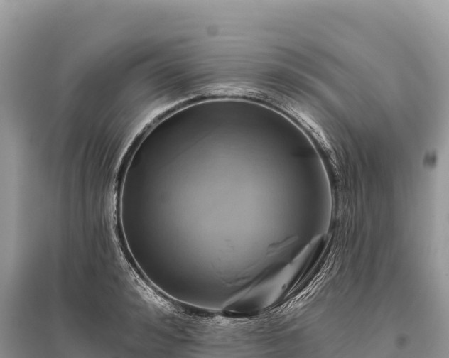 X0000096170992200801251146