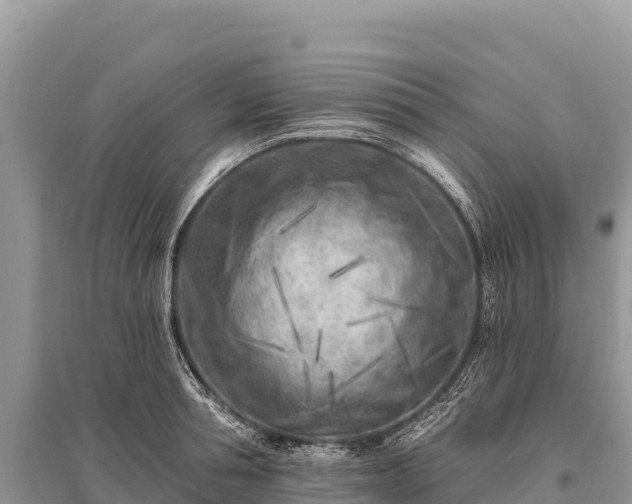 X0000096170994200801251146
