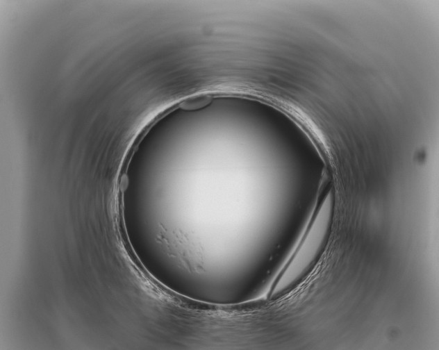 X0000096170996200801251146