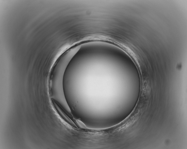 X0000096170997200801251146