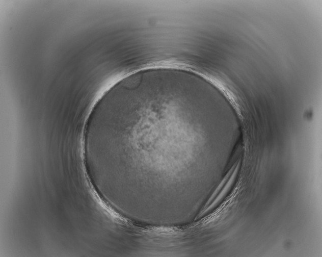 X0000096170998200801251146