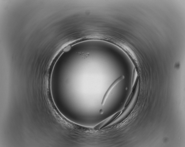 X0000096171000200801251146