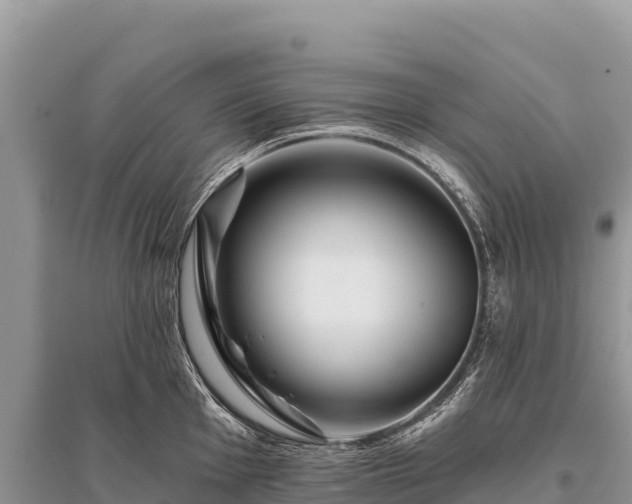 X0000096171001200801251146