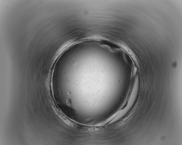 X0000096171002200801251146