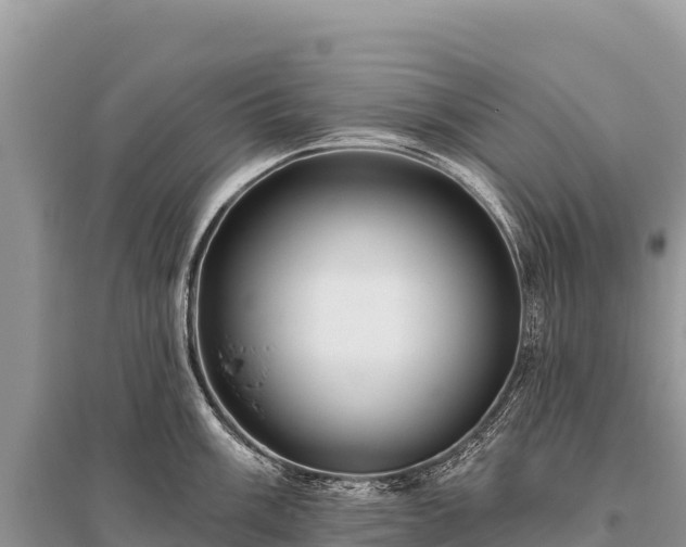 X0000096171003200801251146