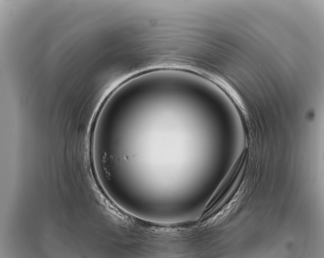 X0000096171004200801251146