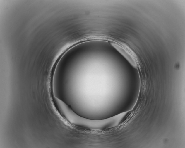 X0000096171005200801251146