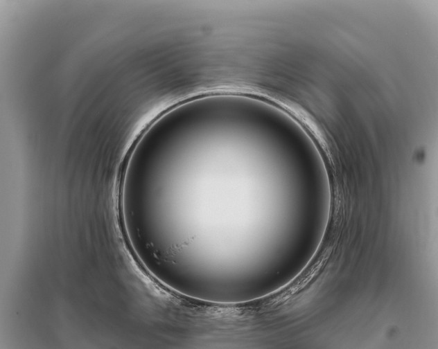 X0000096171006200801251146