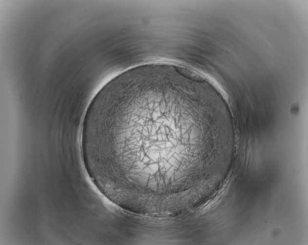 X0000096171007200801251146