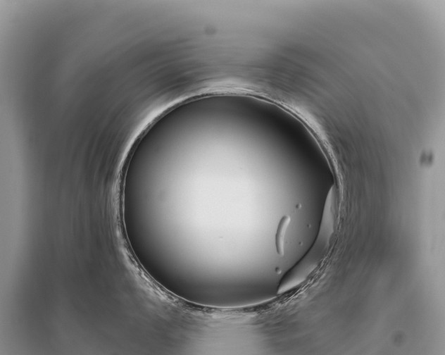 X0000096171008200801251146