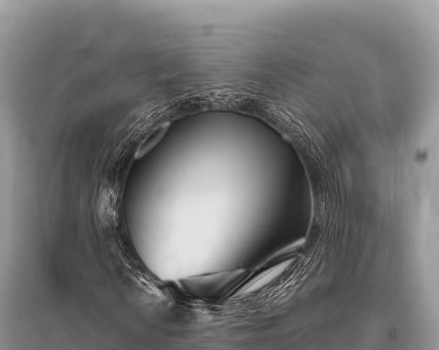 X0000096171010200801251146