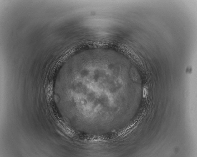 X0000096171011200801251146