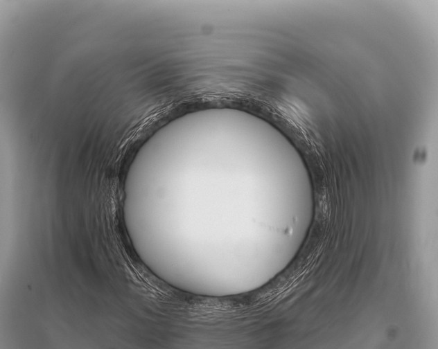 X0000096171012200801251146