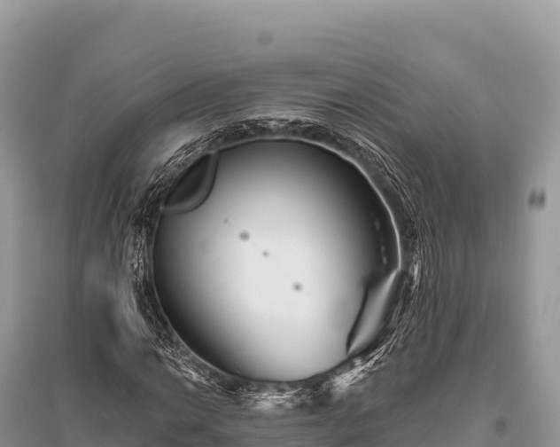 X0000096171014200801251146