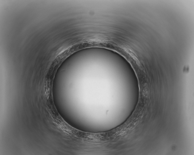 X0000096171015200801251146