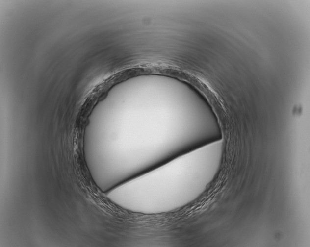 X0000096171016200801251146