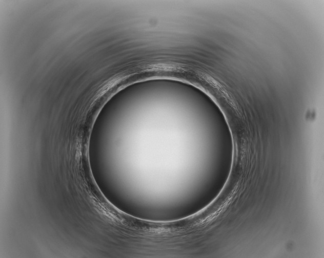 X0000096171017200801251146