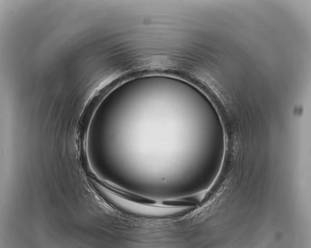 X0000096171018200801251146