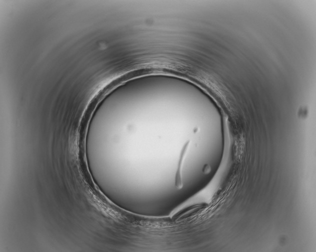 X0000096171020200801251146