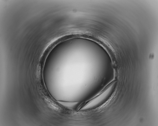 X0000096171021200801251146