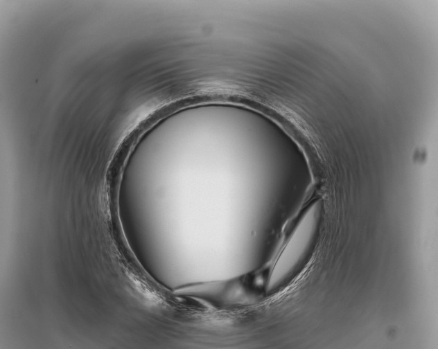 X0000096171022200801251146