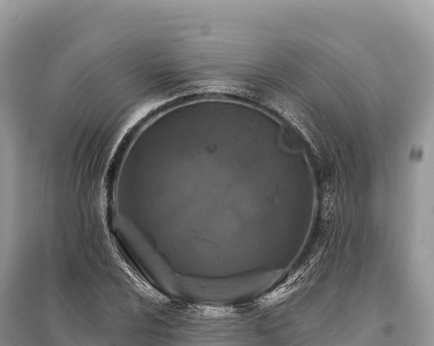 X0000096171024200801251146