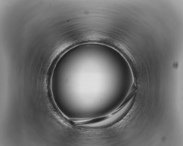 X0000096171026200801251146