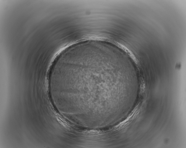 X0000096171027200801251146