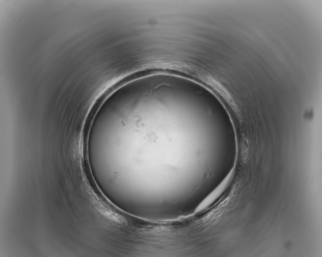 X0000096171028200801251146