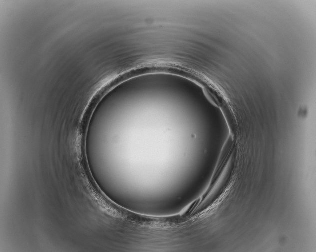 X0000096171029200801251146