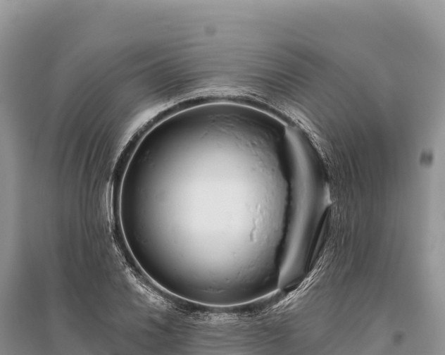 X0000096171030200801251146