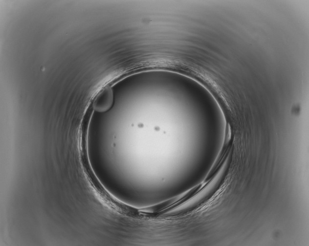 X0000096171034200801251146