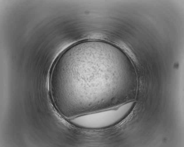 X0000096171036200801251146