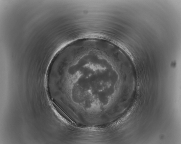 X0000096171037200801251146