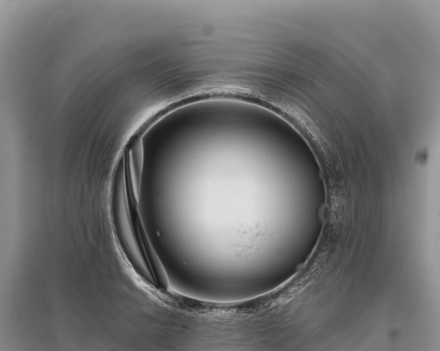 X0000096171038200801251146