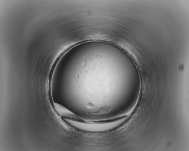 X0000096171040200801251146