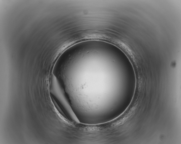 X0000096171041200801251146